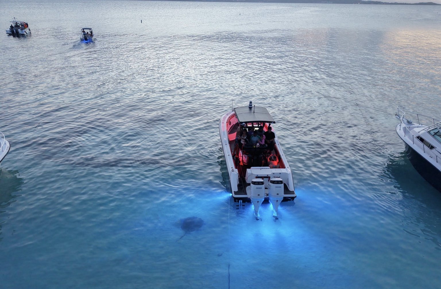 Palomino and Icacos private boat package