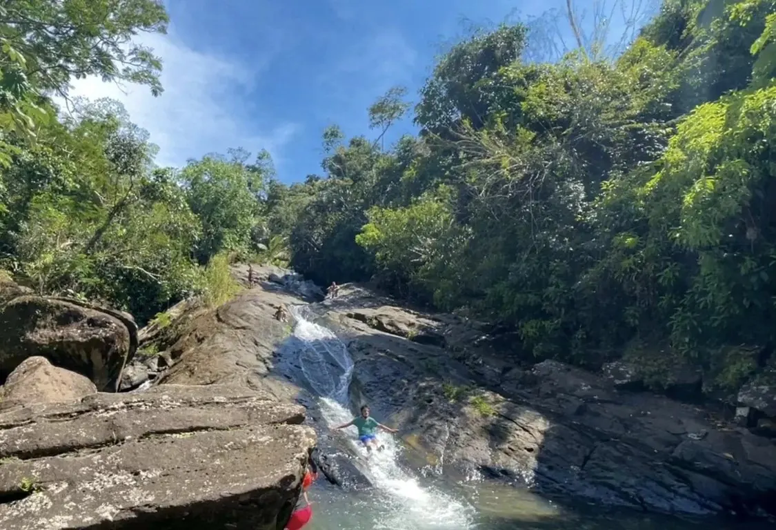 🌿 Rainforest River Adventure private day trip