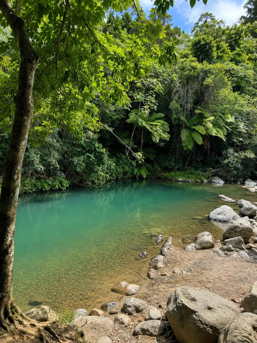 Angelito Trail River