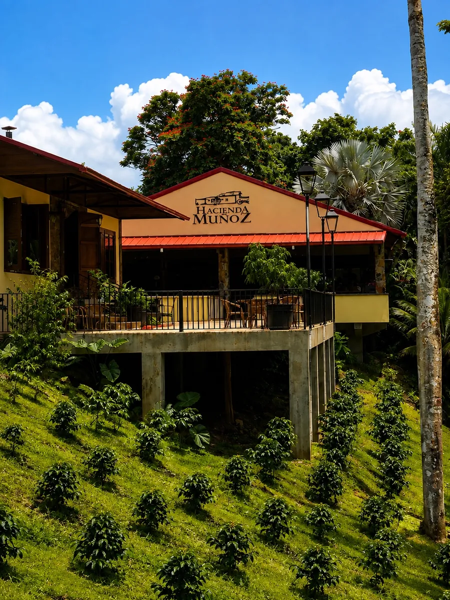 Hacienda Muñoz Coffee