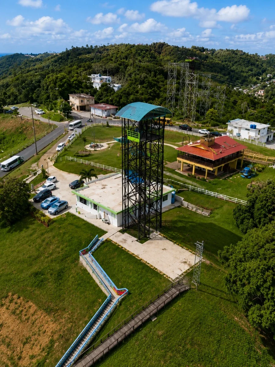 Toro Verde